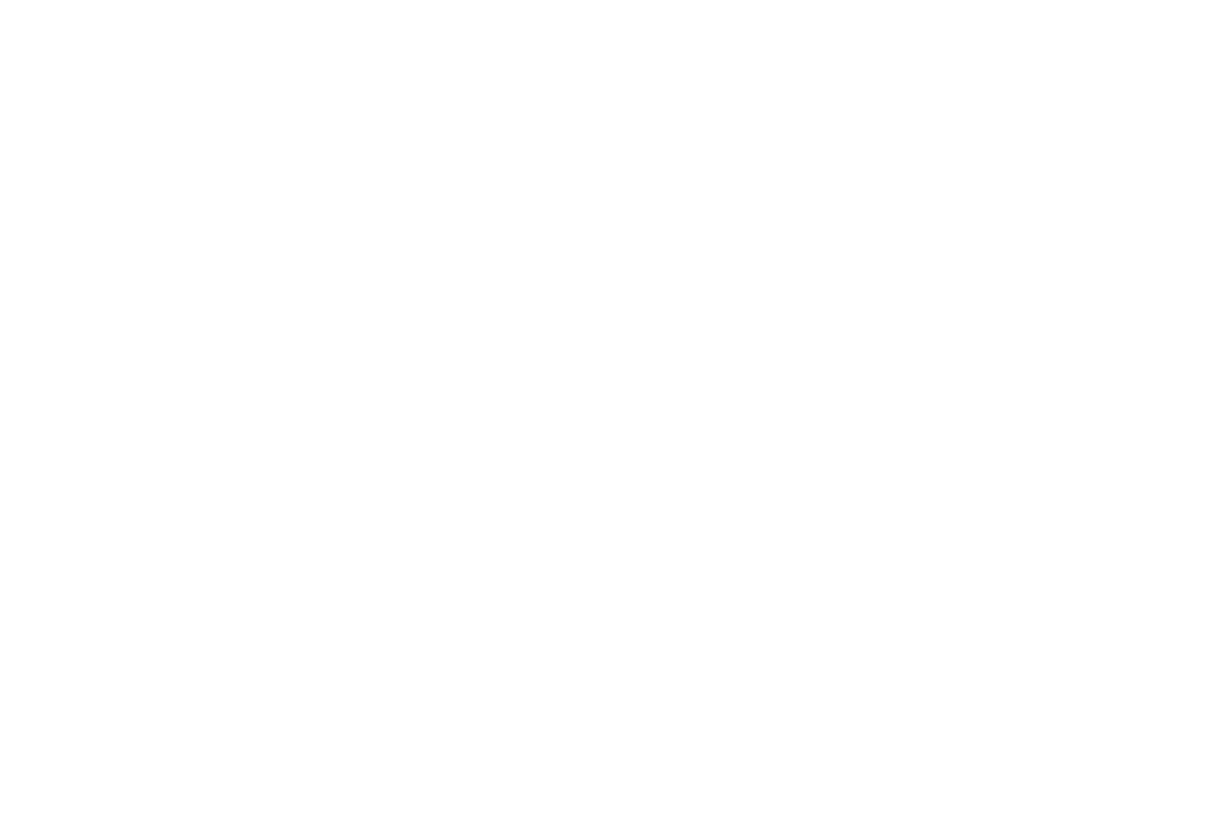 Logo_PW_Holzbau_white